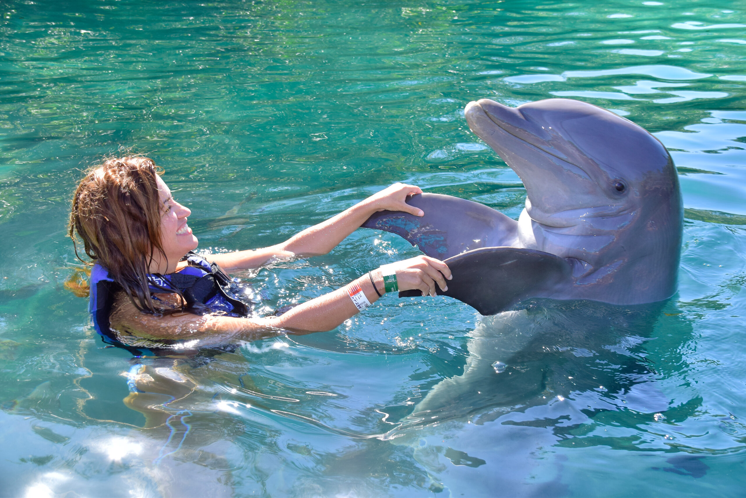 Nado con Delfines Punta Cana