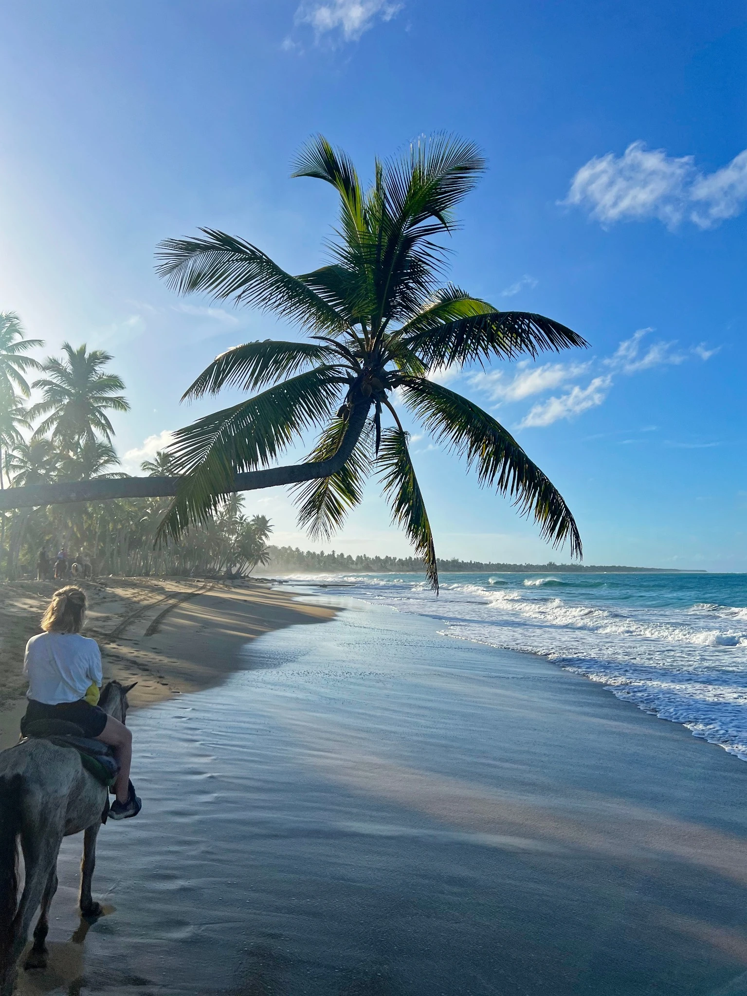 Paseo a caballo Punta Cana